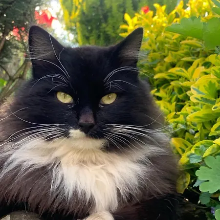 Stavne 158 Dom wakacyjny *